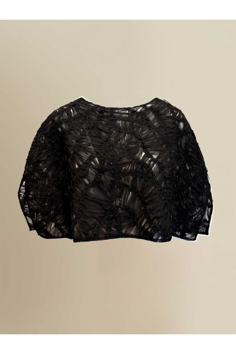 Fleur Sheer Abstract Lace Scoop-Neck Shawl, Main, color, Black