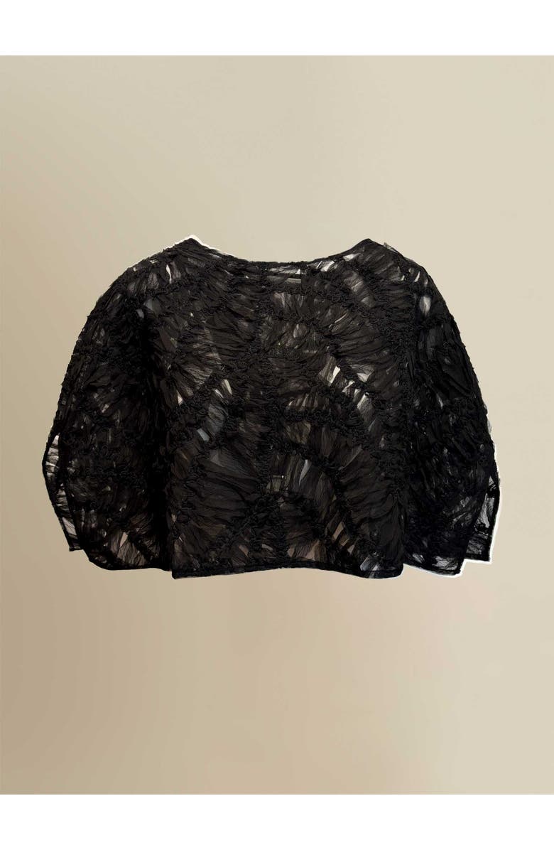 Contessa Mills Fleur Sheer Abstract Lace Scoop-Neck Shawl, Main, color, Black