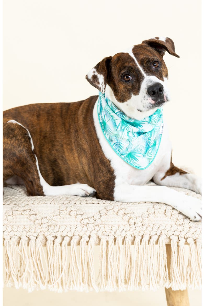 Capri Pet Bandana, Alternate, color, Capri