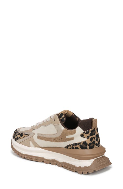 BLOWFISH MALIBU BLOWFISH MALIBU LEO TRAINER SNEAKER