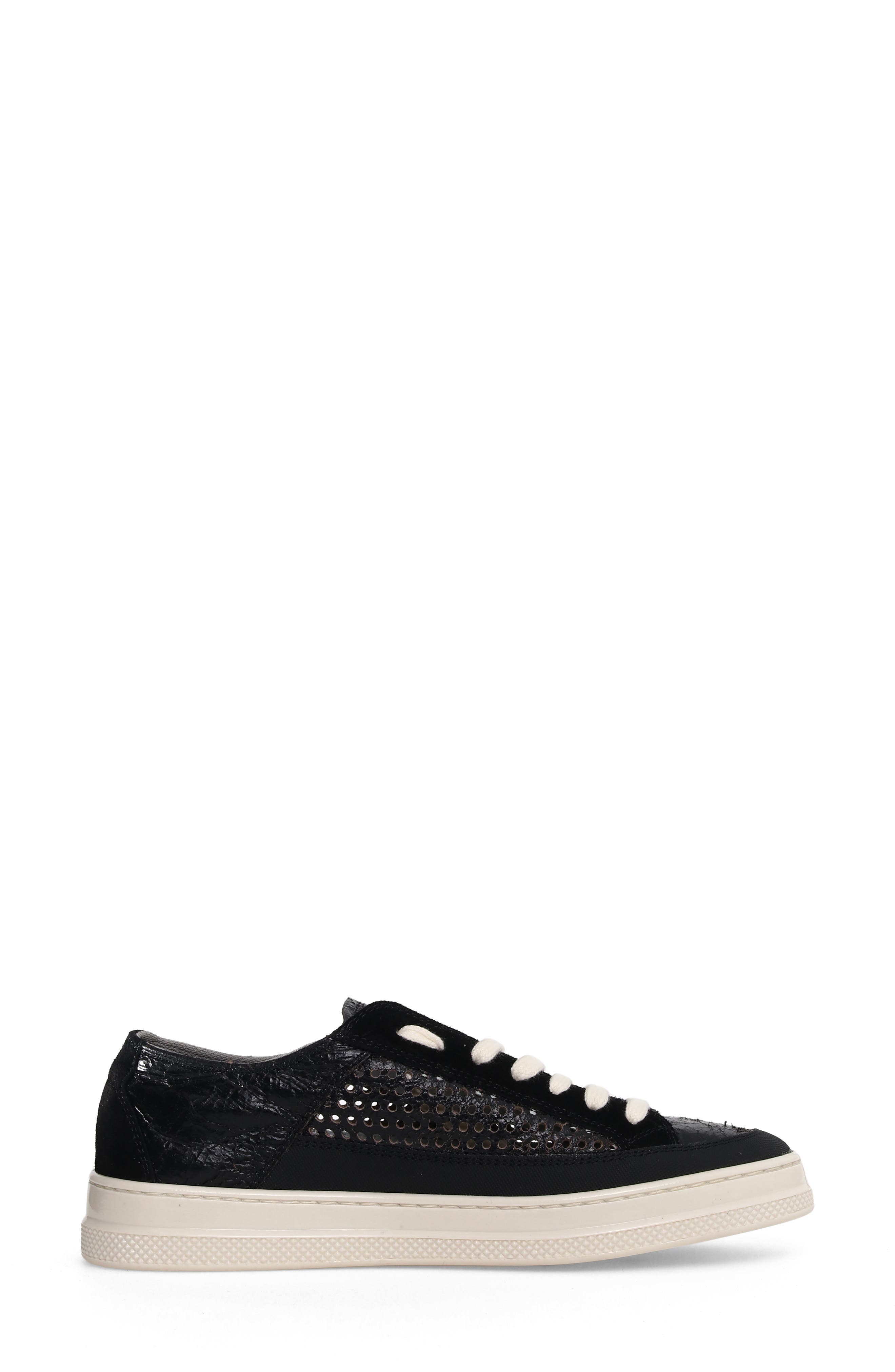 Candice Cooper Tim Perforated Leather Lace-Up Sneaker, Alternate, color, Black
