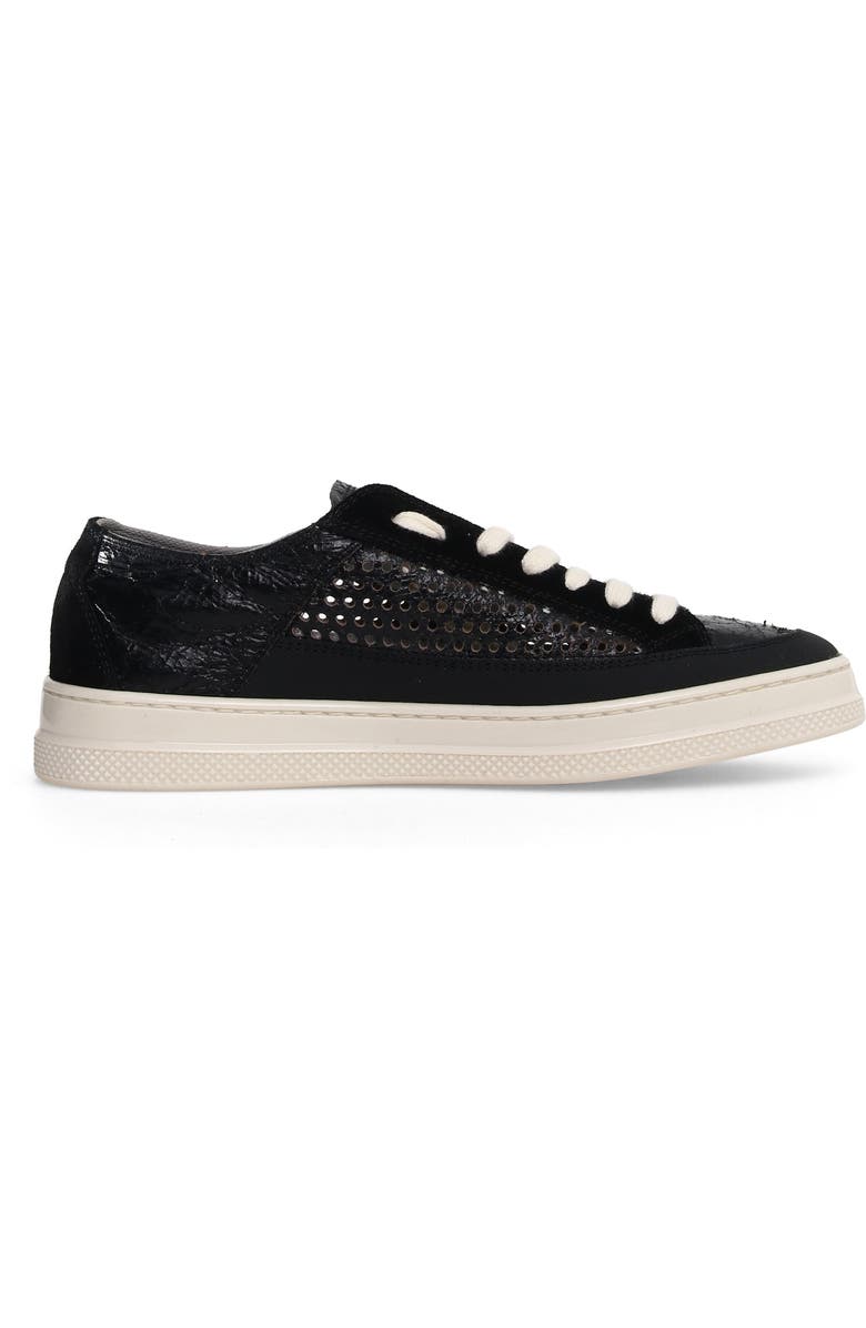 Candice Cooper Tim Perforated Leather Lace-Up Sneaker, Alternate, color, Black