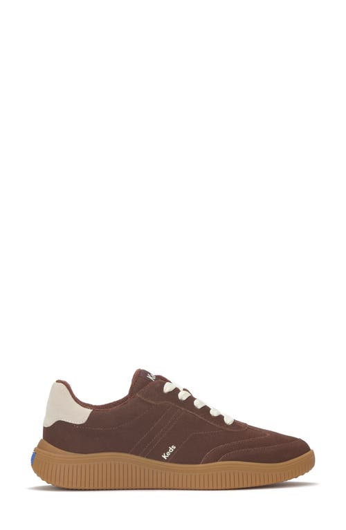 Keds Women's Contest Suede Lace Up Leather Sneakers In Brown