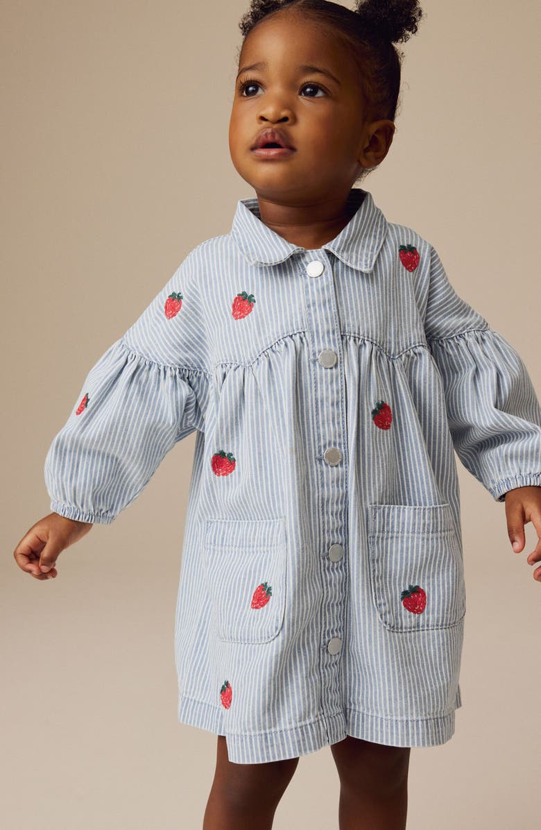 NEXT Kids' Embroidered Stripe Button-Up Shirtdress, Alternate, color, 