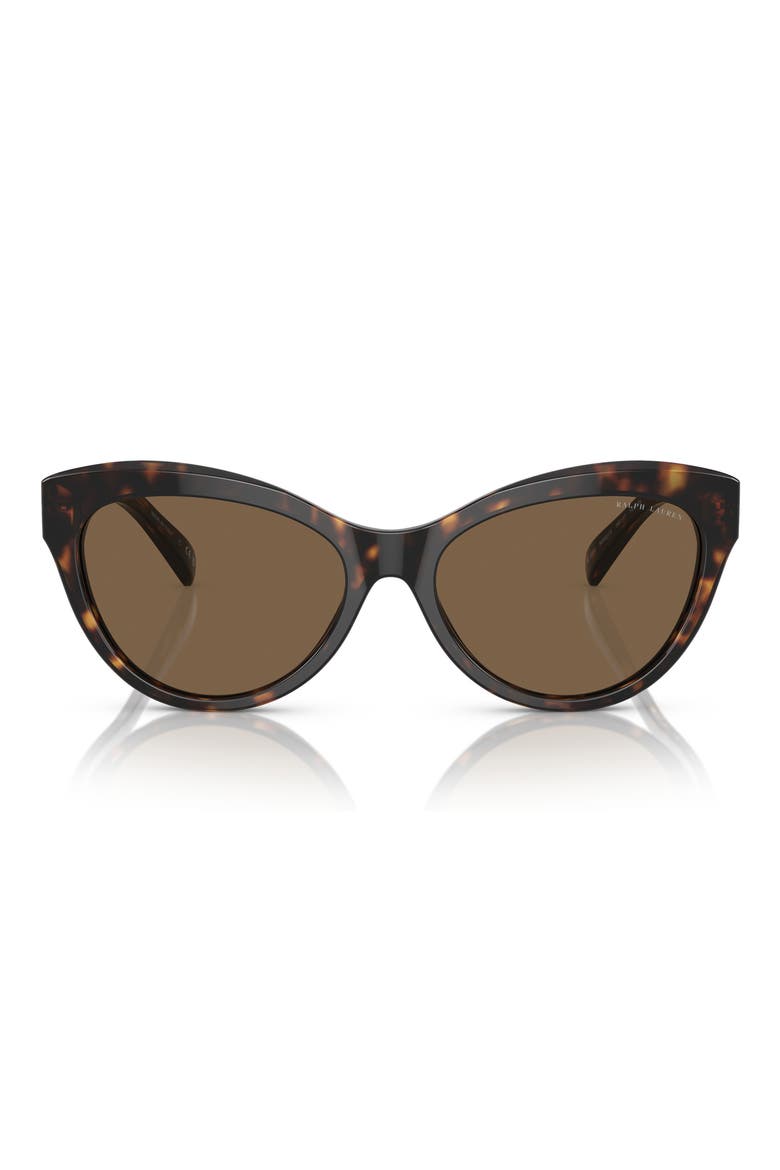 56mm Cat Eye Sunglasses, Main, color, HAVANA / BROWN