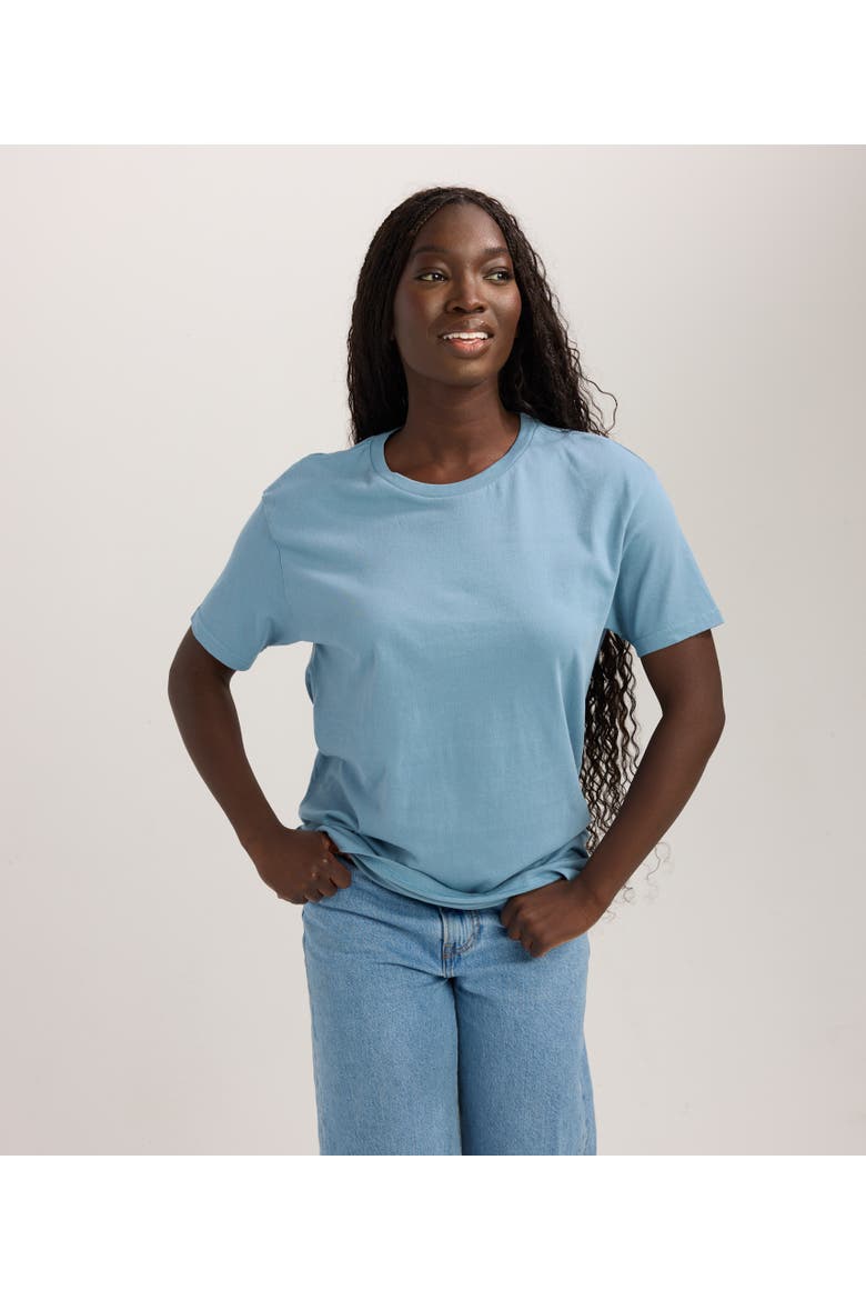 Regen Unisex Tee, Alternate, color, Slate