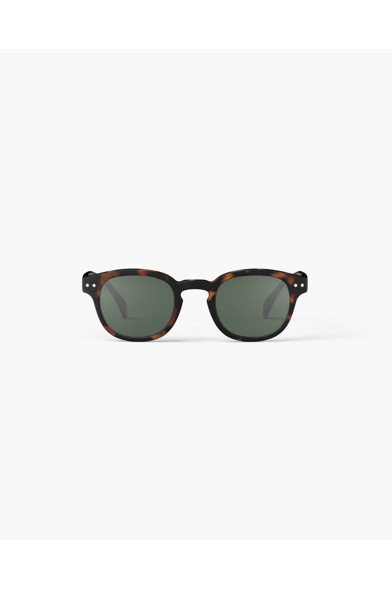 #C Tortoise, Main, color, Tortoise