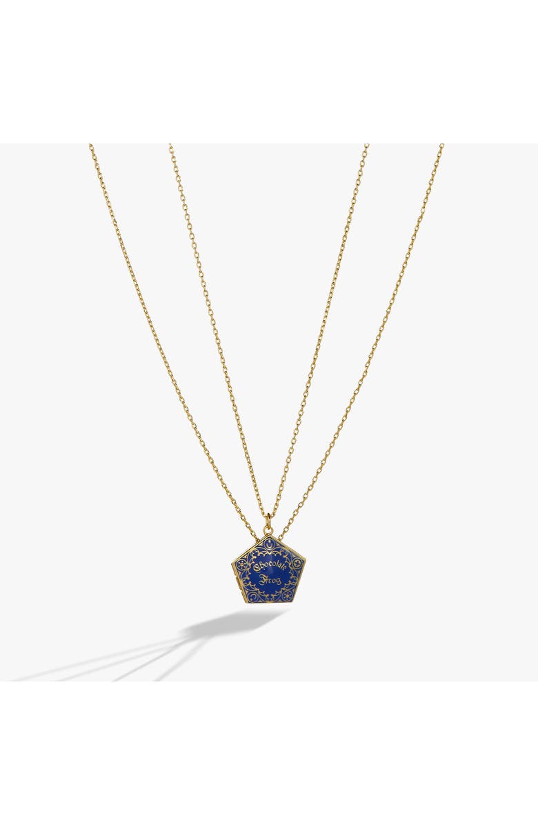 Alex and Ani Harry Potter Chocolate Frog Necklace Set, Alternate, color, Blue