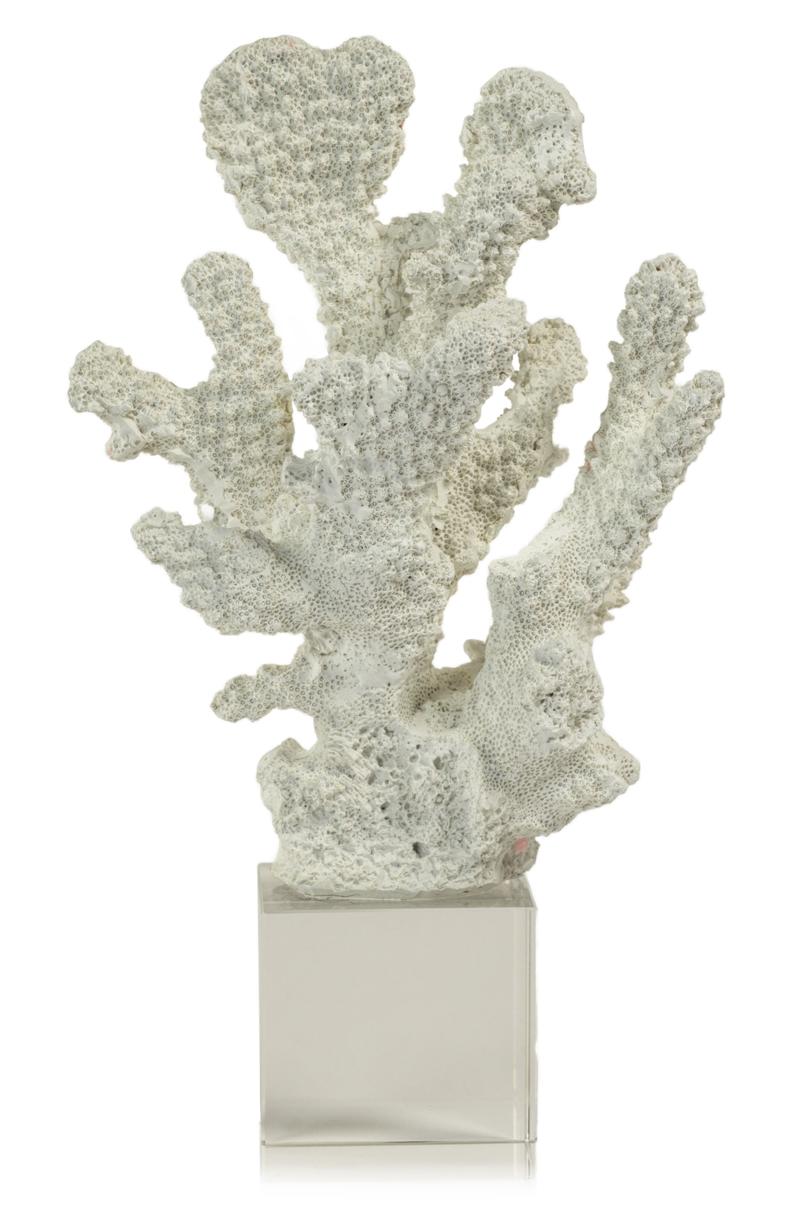 Zodax Coral on Base Decor