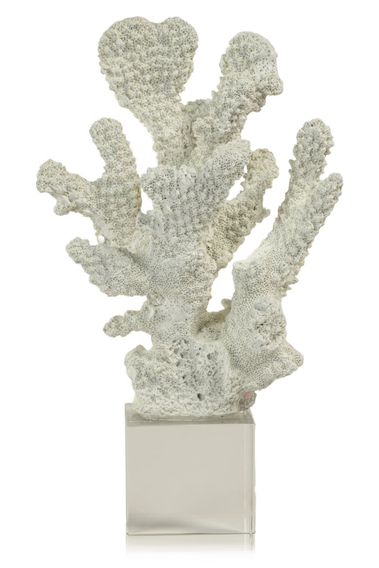 Coral on Base Decor, Main, color, WHITE/ CLEAR