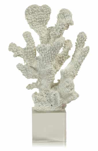 Coral on Base Decor