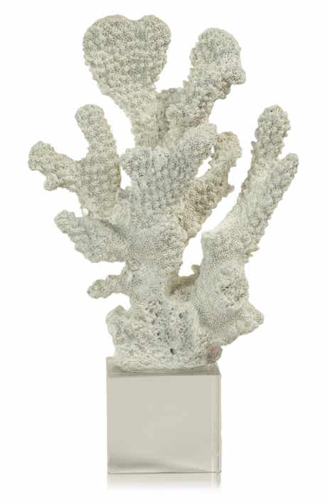 Zodax Coral on Base Decor