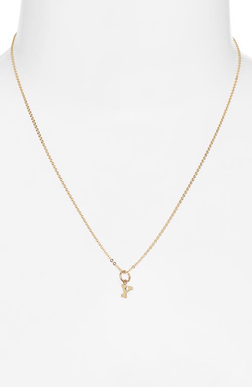 Nashelle Initial Pendant Necklace In Gold Fill - Y