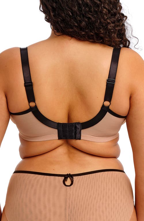 Elomi Teagan Full Figure Underwire Plunge Bra In Brown