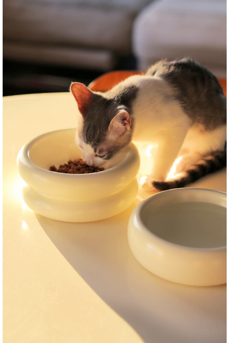 Halo Elevated Cat Bowl, Alternate, color, WHITE