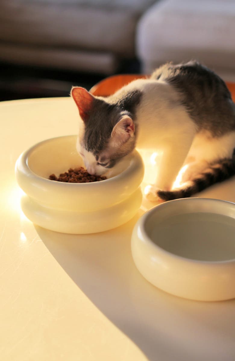 Catenary Halo Elevated Cat Bowl, Alternate, color, White