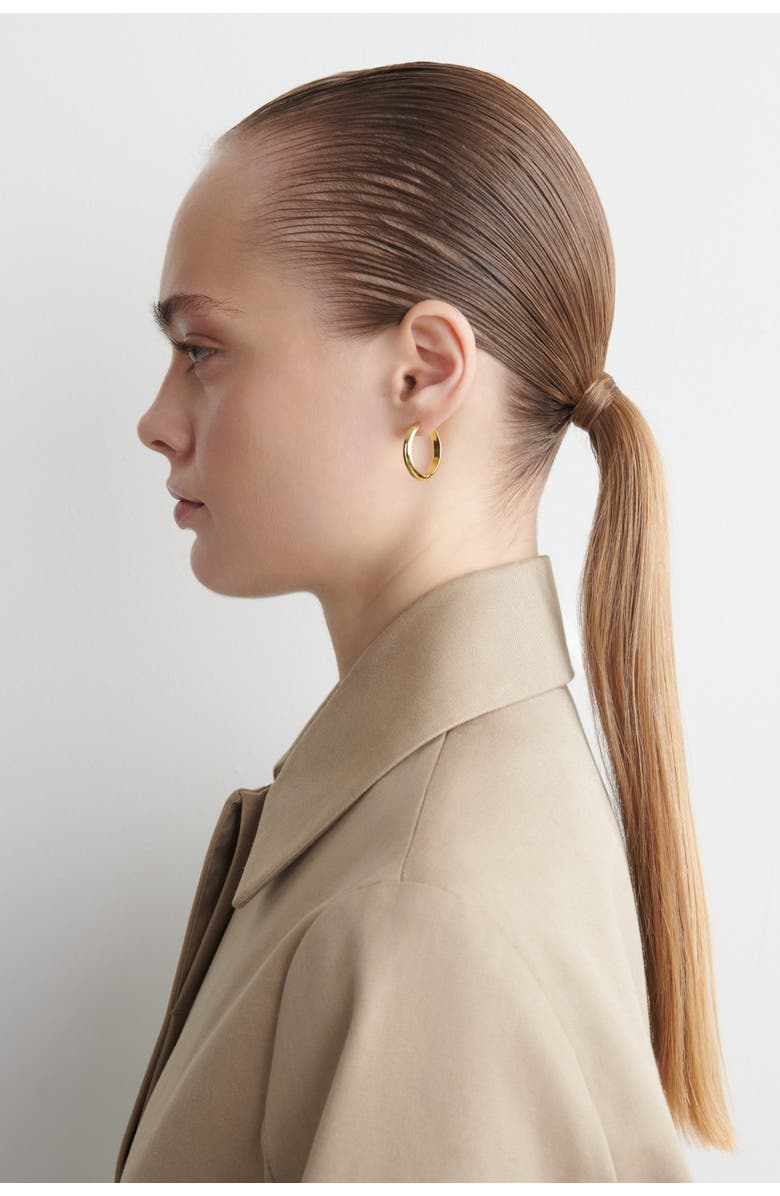 COS Hoop Earrings, Alternate, color, Gold