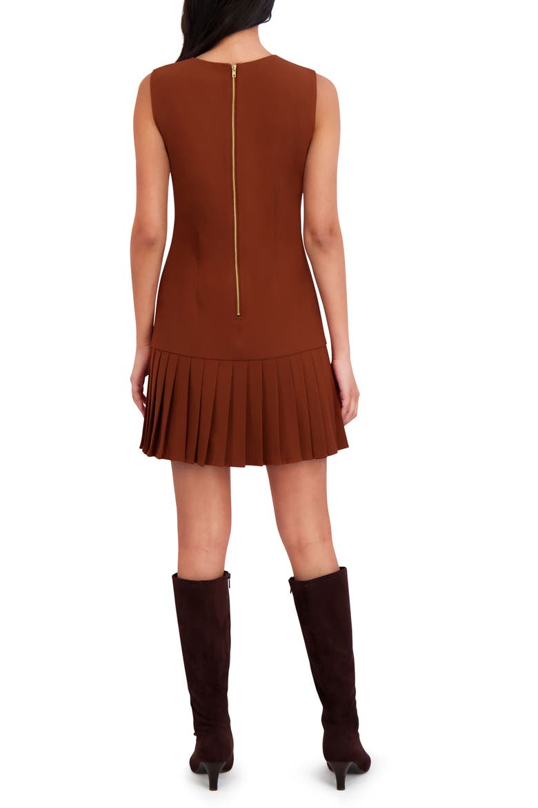 Sleeveless Drop Waist Pleated Dress, Alternate, color, CEDAR BROWN