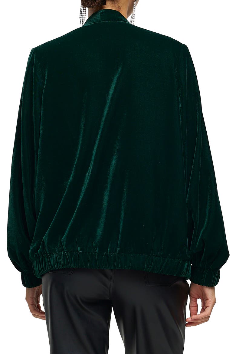 Embellished Velvet Bomber Jacket, Alternate, color, GREEN