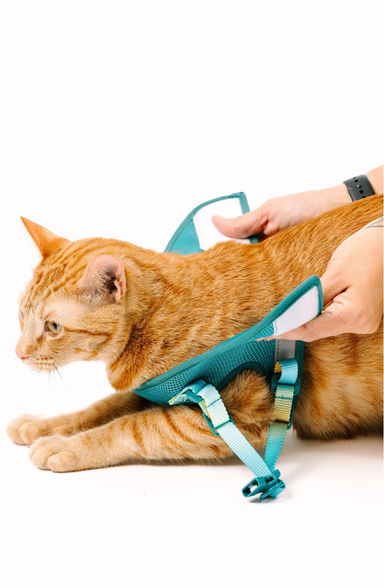 Pink Papyrus Joey Cat Harness and Leash Set, Alternate, color, Joey