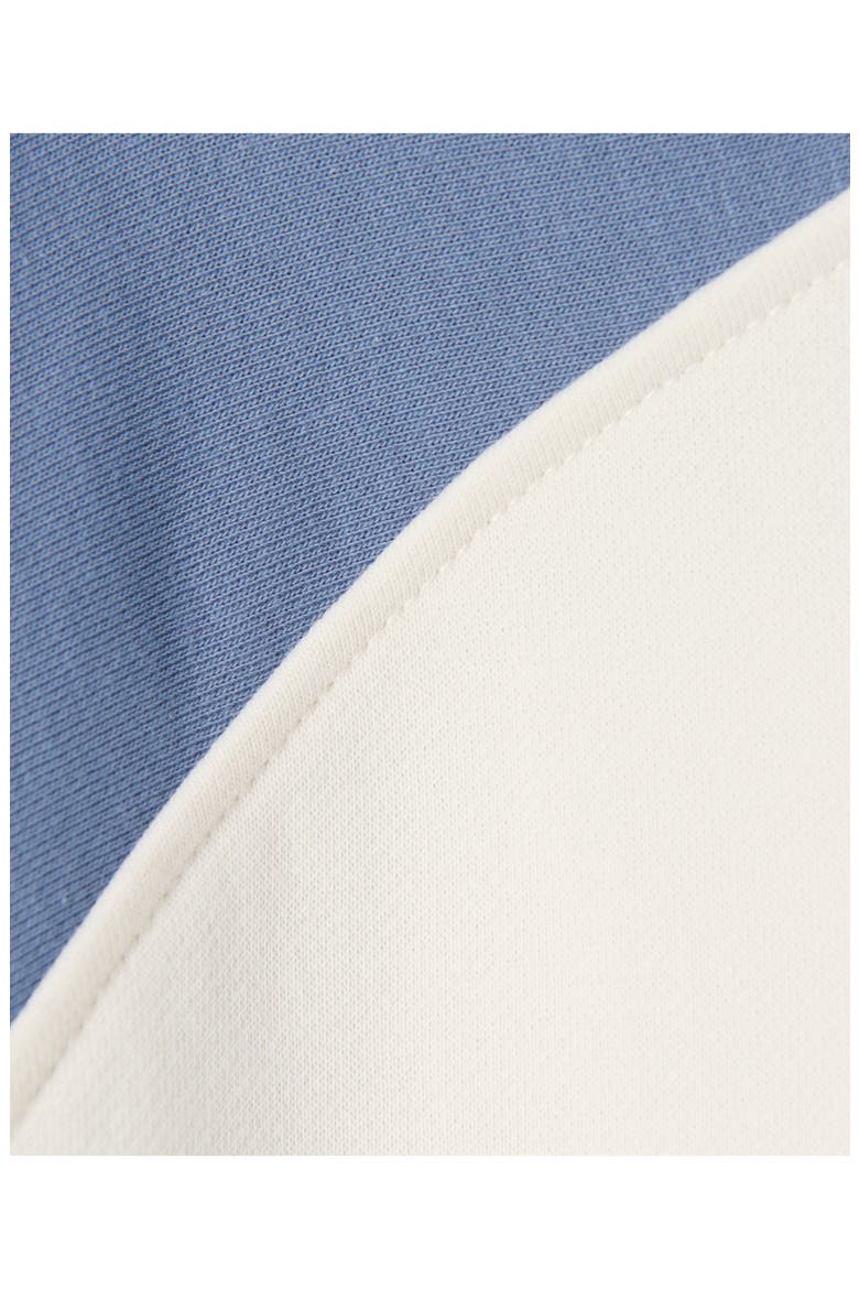 Revive Colorblock Half-Zip Cotton Blend Sweatshirt, Alternate, color, LUXE BLUE