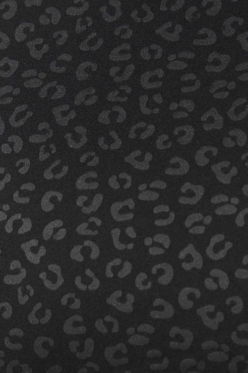 Elastique Athletics The Fierce Bra In Black