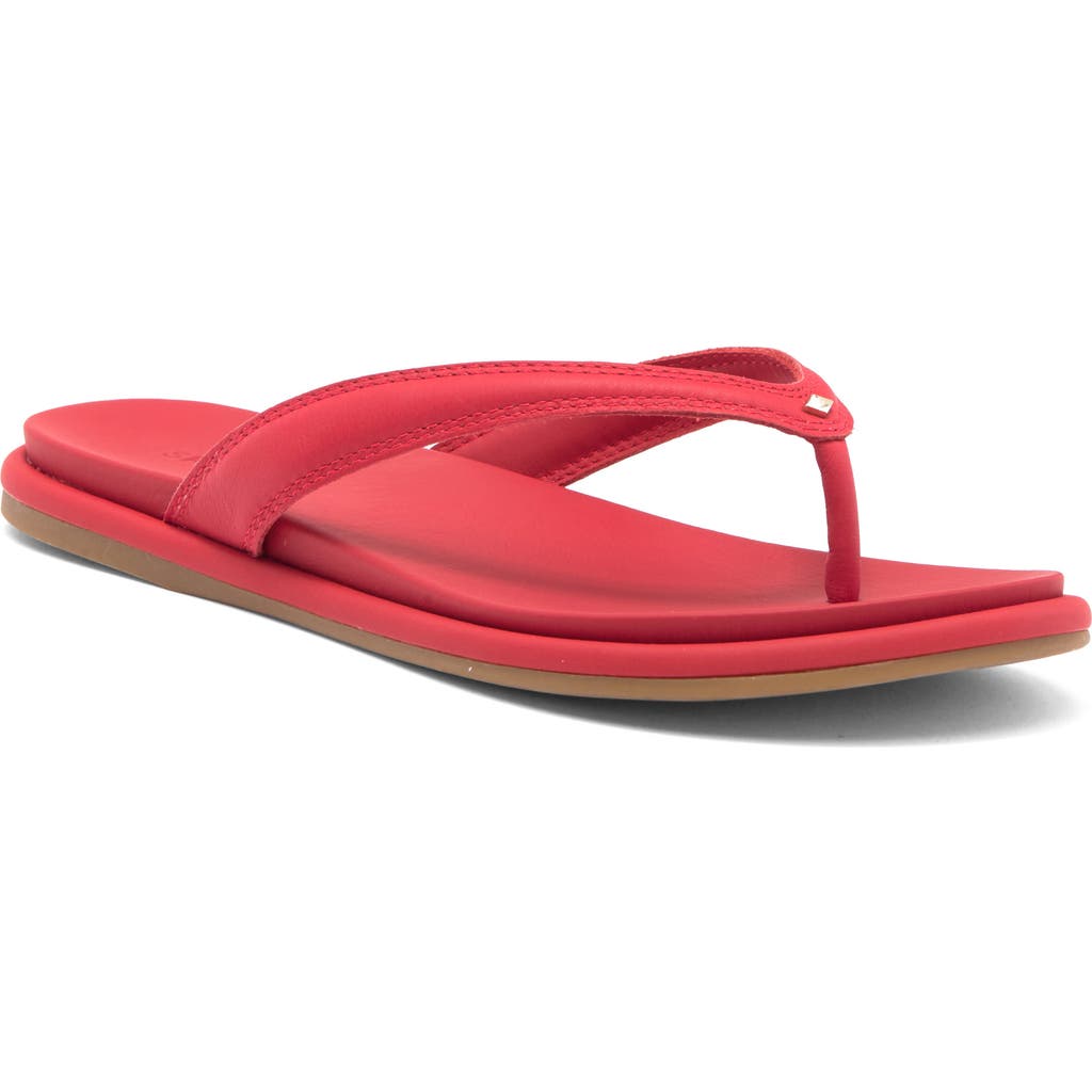 Sperry Isla Flip Flop In Adrenaline Rush Leather Smooth