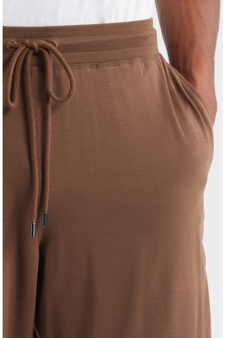 Stretch Modal & Silk Blend Pajama Shorts, Alternate, color, CHESTNUT