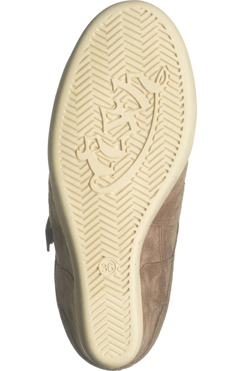 Ash , Alternate, color,