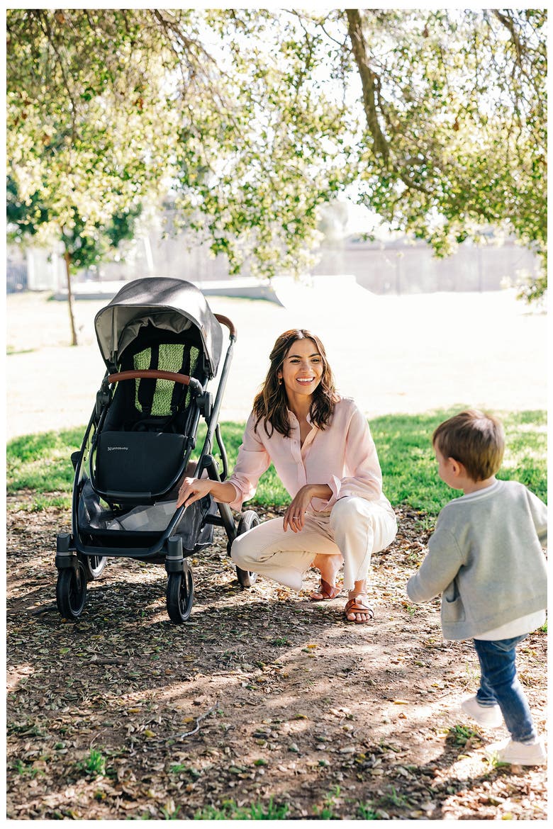 VISTA V3 Stroller, Alternate, color, JAKE