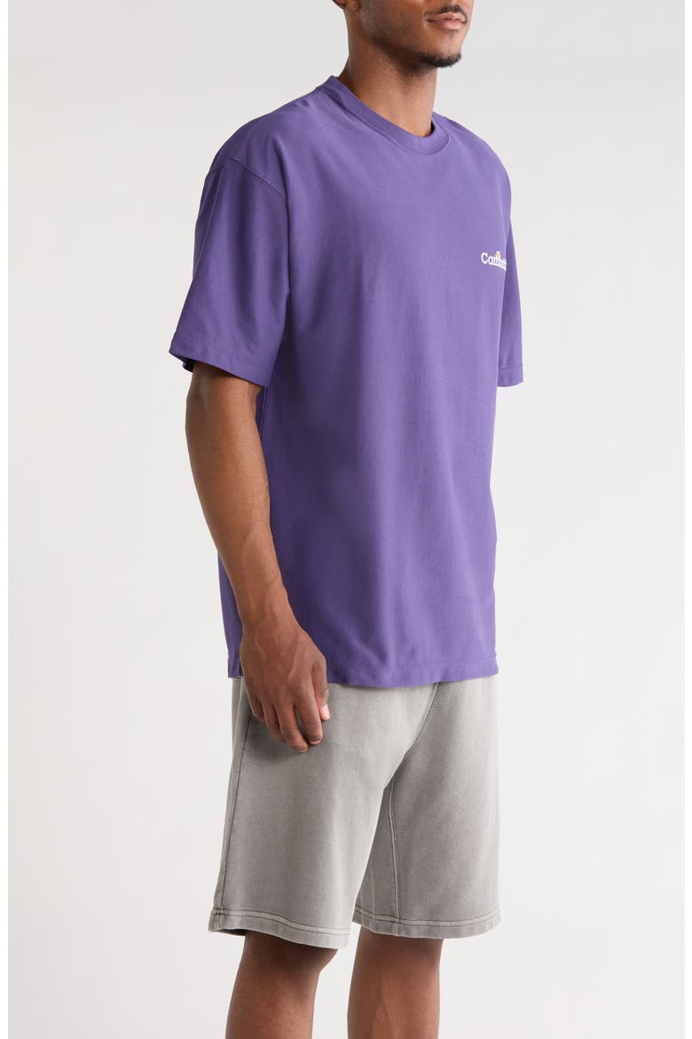 WIP Label Embroidered Oversize Organic Cotton T-Shirt, Alternate, color, CALLA