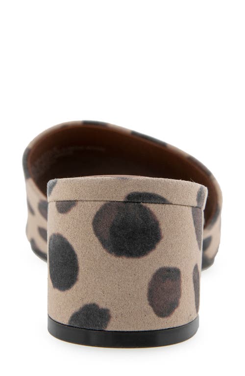 AEROSOLES AEROSOLES COMO SLIDE SANDAL