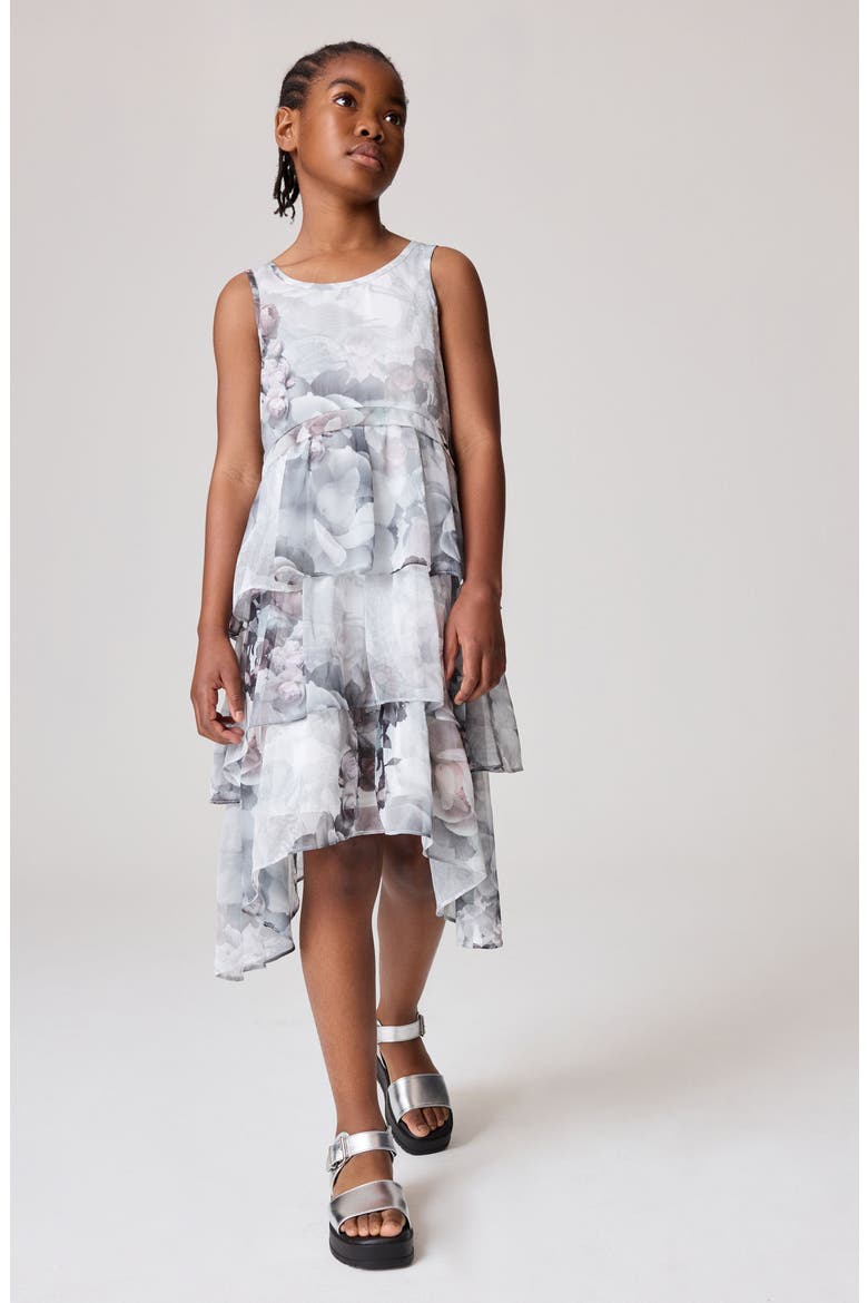 Kids' Floral Print Ruffle Dress, Main, color, GREY