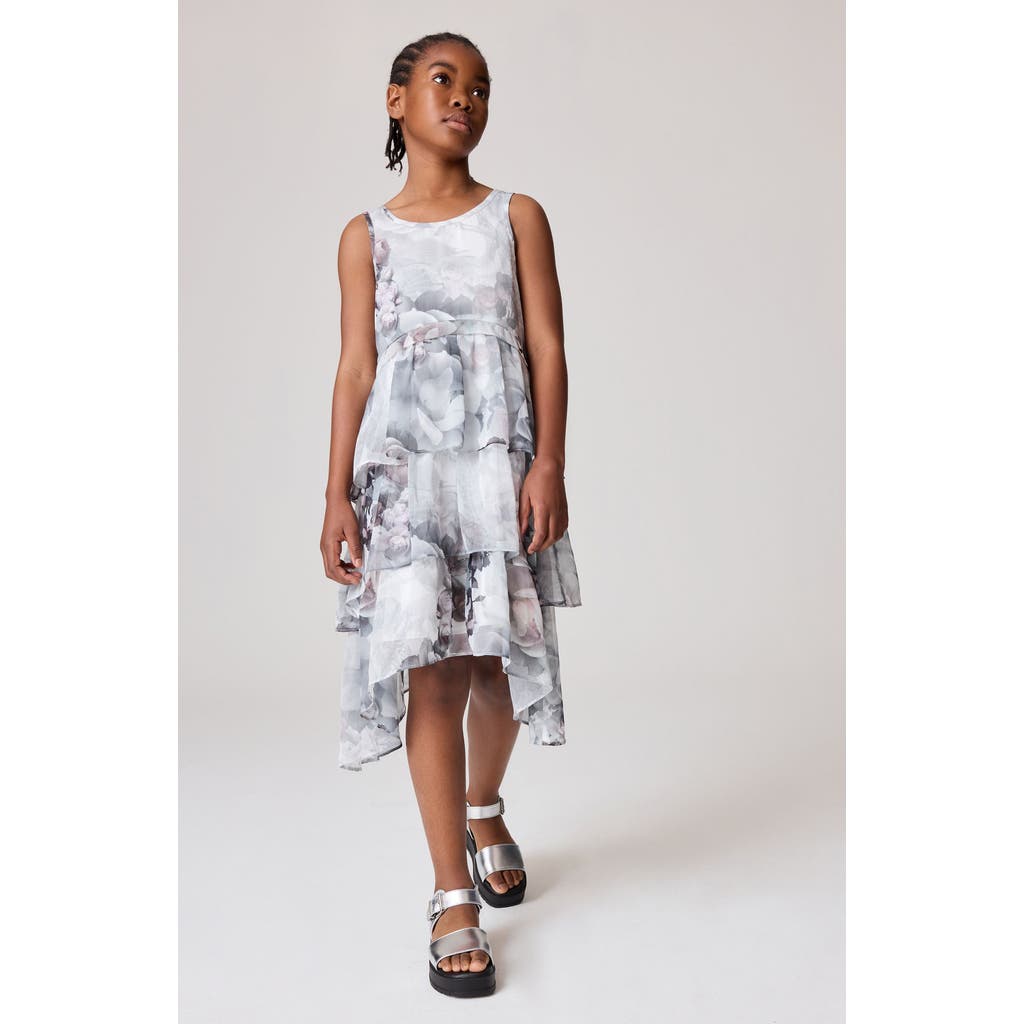 Smallsaints By Allsaints Kids' Floral Print Ruffle Dress In Grey