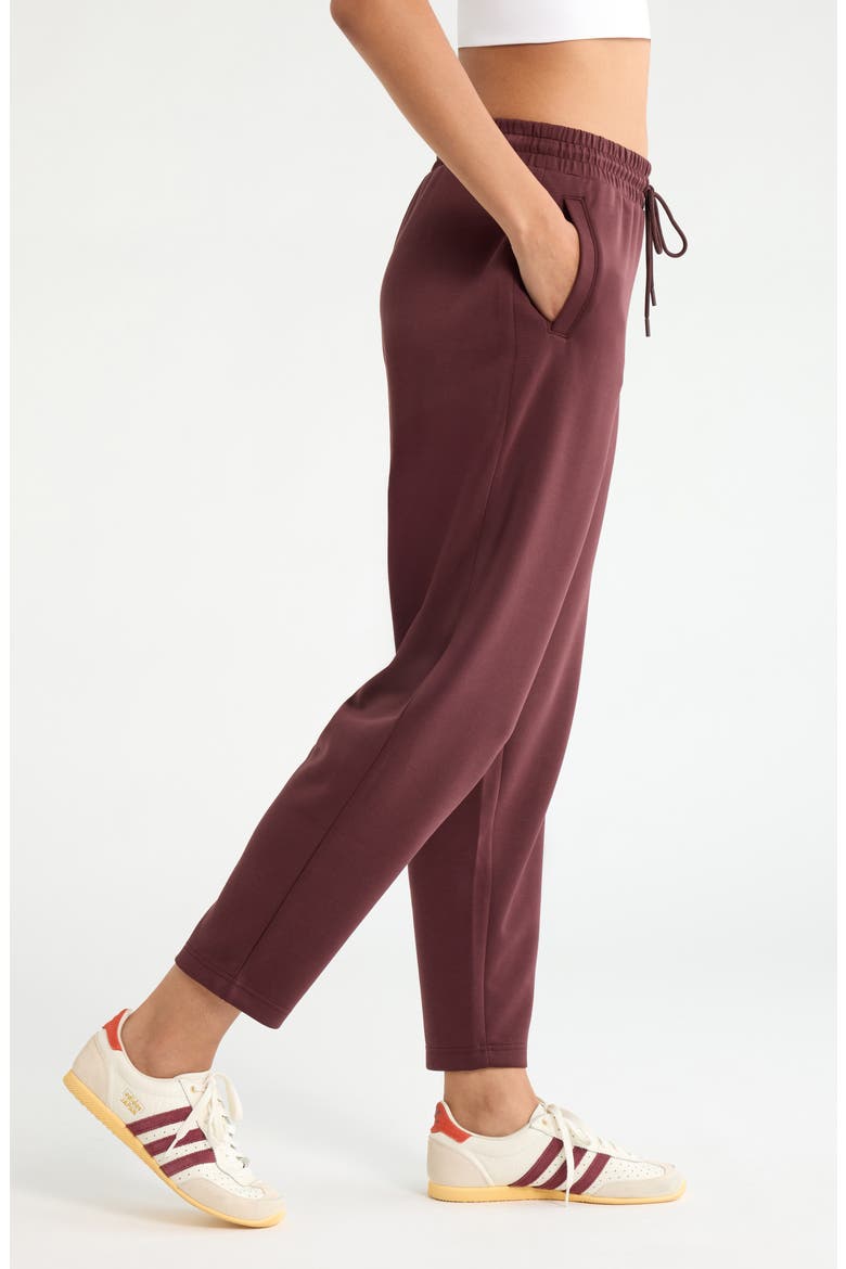 Soft Luxe Ankle Pants, Alternate, color, BROWN RISTRETTO