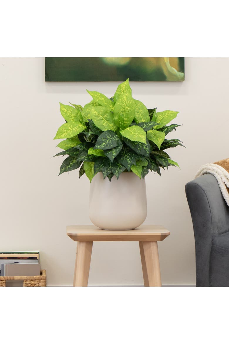 19-in Artificial Dieffenbachia Plant - Set of 6, Alternate, color, Green