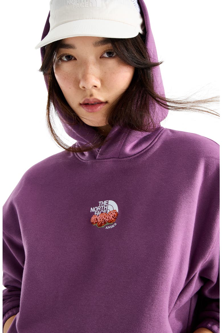 Places We Love - Andes Chuquiragua Pullover Hoodie, Alternate, color, CHROMA PURPLE