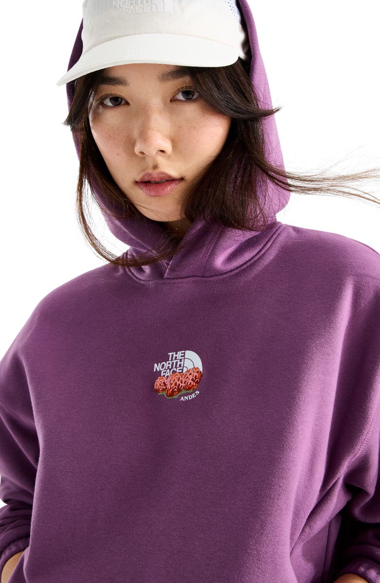 The North Face Places We Love - Andes Chuquiragua Pullover Hoodie, Alternate, color, Chroma Purple