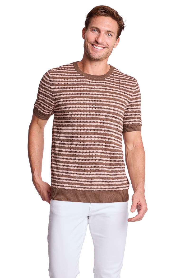 Stripe Short Sleeve Knit T-Shirt, Alternate, color, CHOCOLATE MOCHA BLUSH