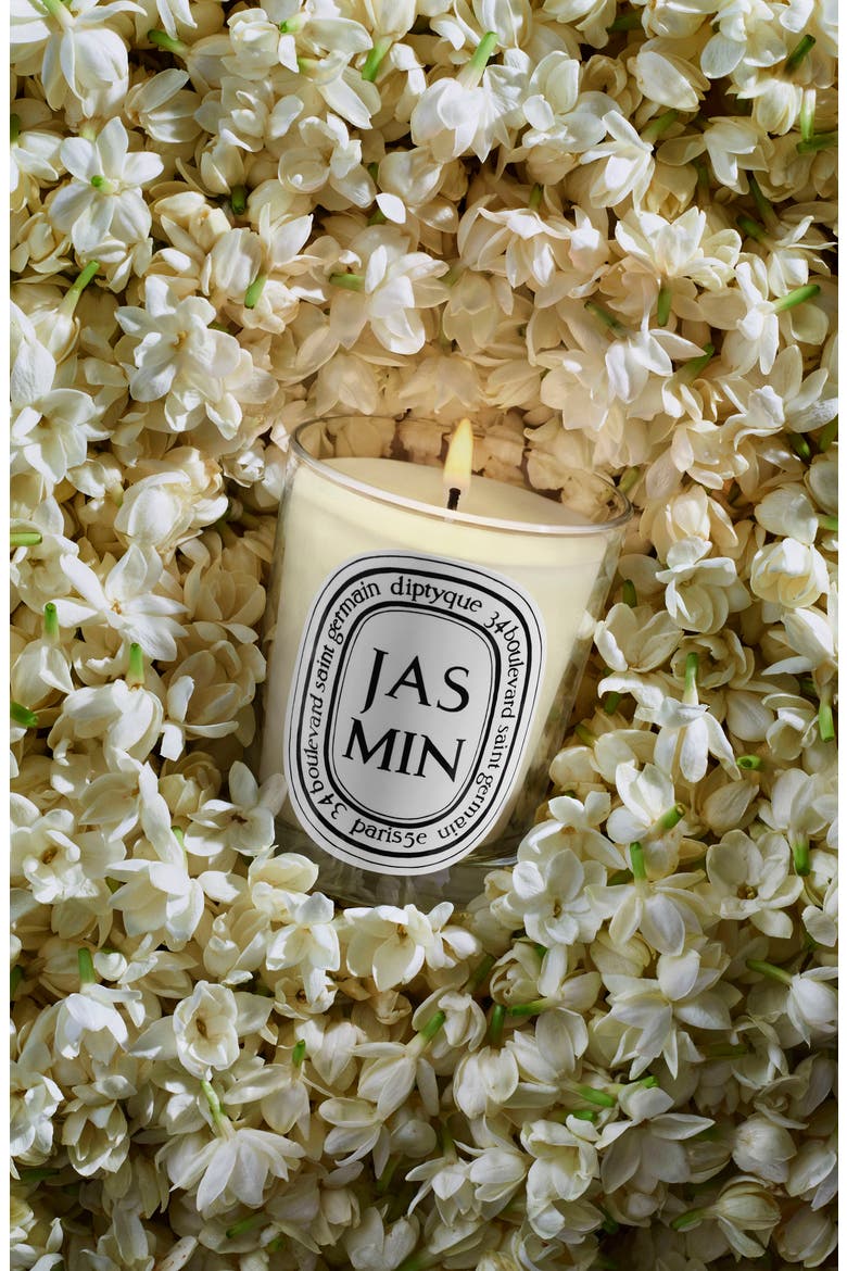 Jasmin (Jasmine) Scented Candle, Alternate, color, NO COLOR