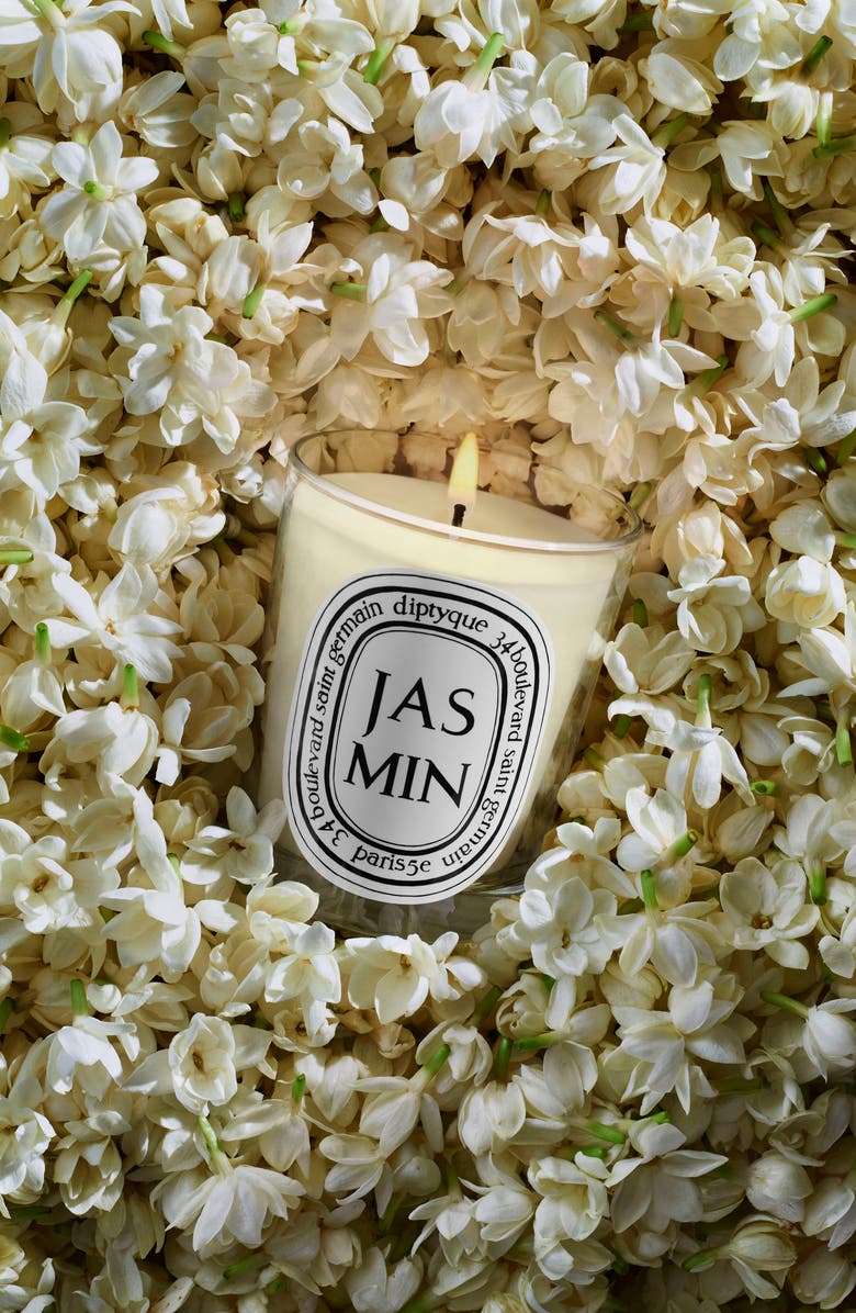 Diptyque Jasmin (Jasmine) Scented Candle, Alternate, color, 