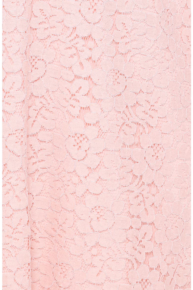 Cidel Lace Long Sleeve Minidress, Alternate, color, PINK LACE