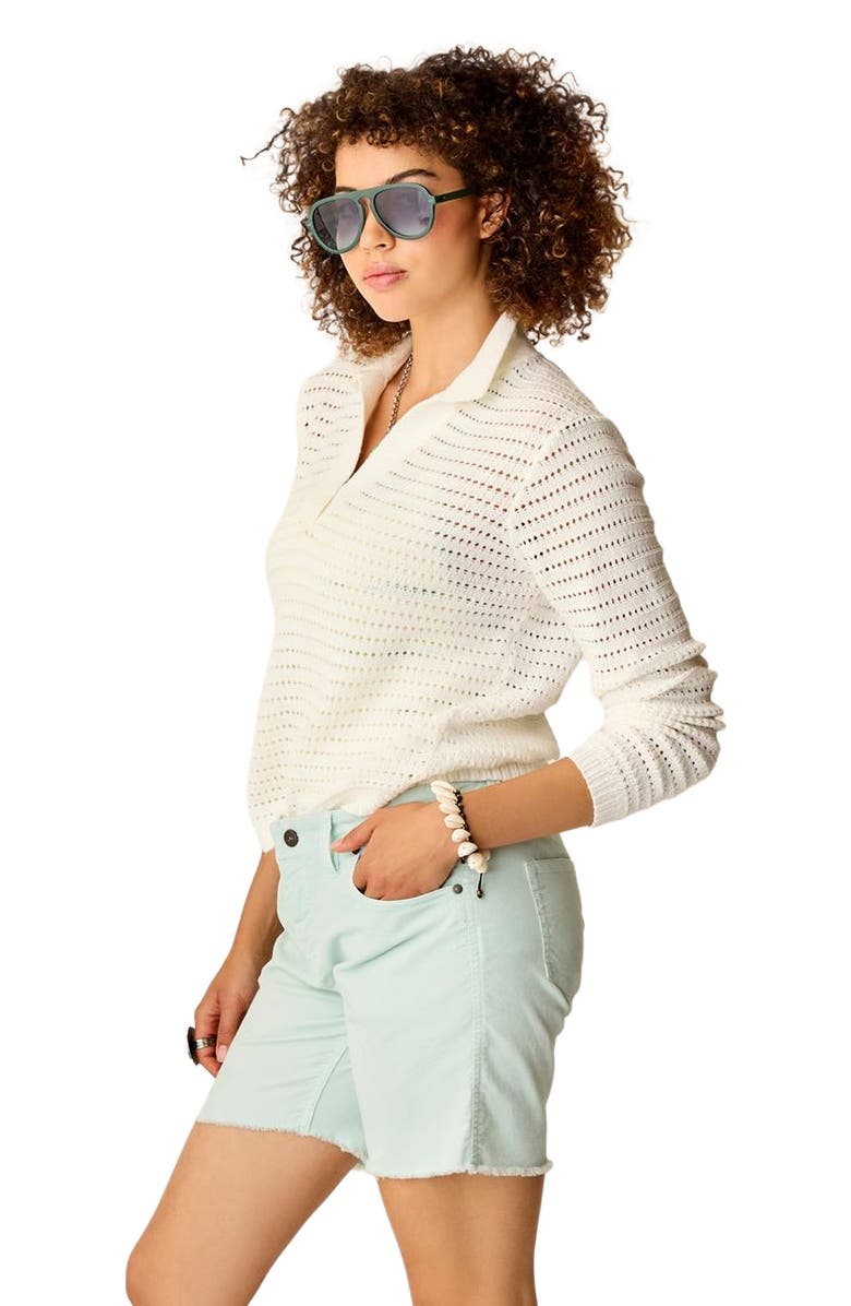 Carve Designs Morgan Polo Sweater, Alternate, color, Cloud