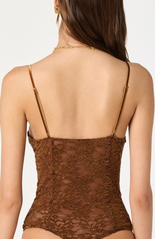 Astr The Label Structured Lace Bodysuit In Brown