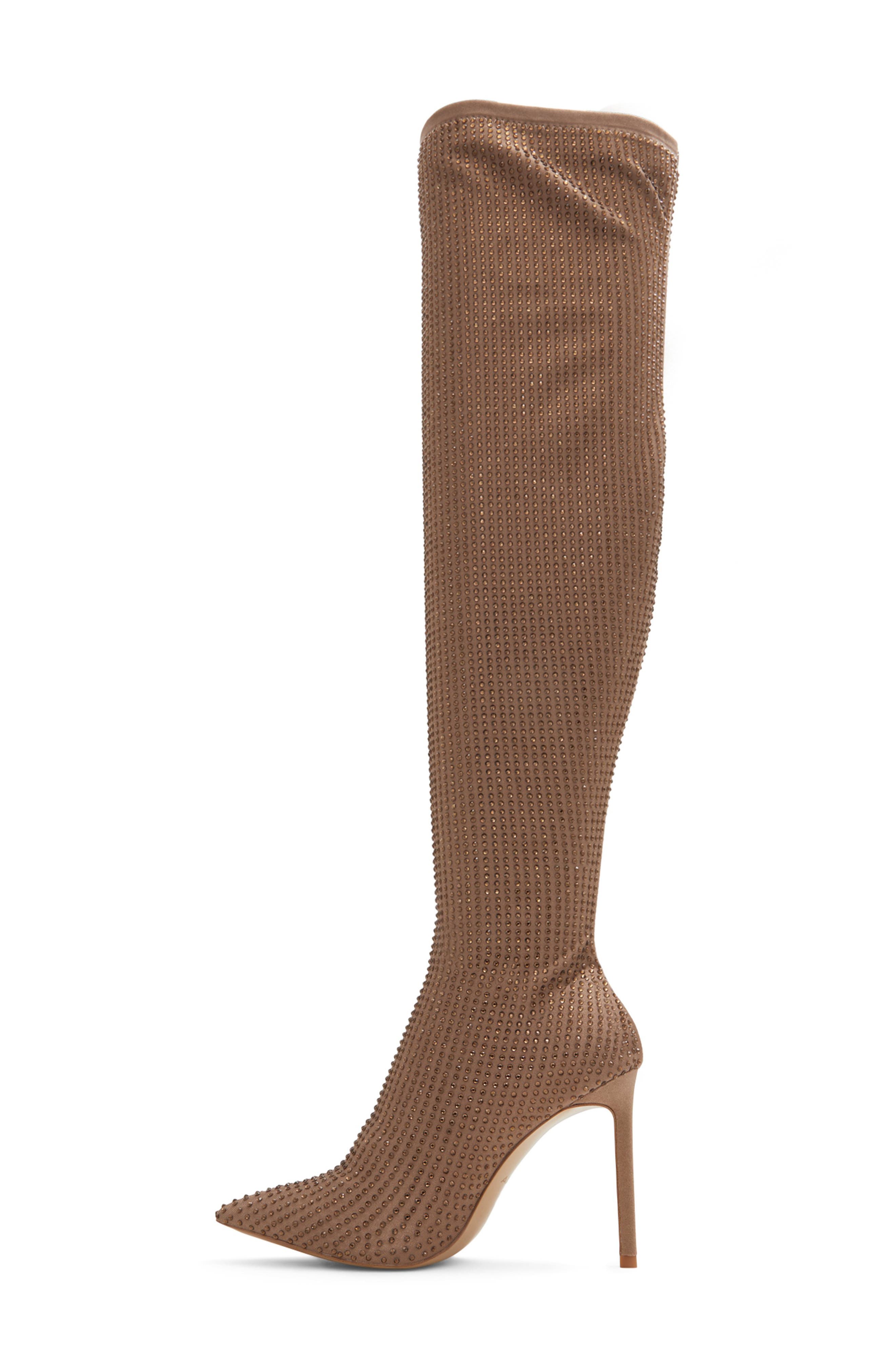 ALDO Nassia Embellished Pointed Toe Over the Knee Boot, Alternate, color, 