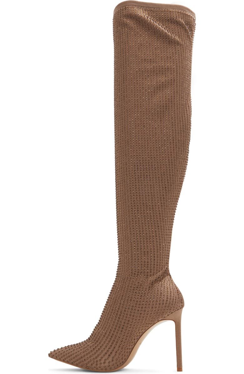ALDO Nassia Embellished Pointed Toe Over the Knee Boot, Alternate, color,