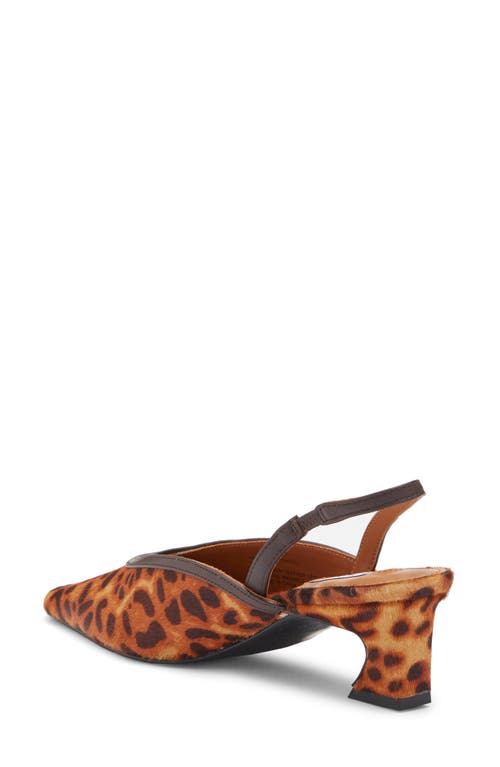 Steve Madden Haleigh Slingback Pump In Leopard Calf Hair