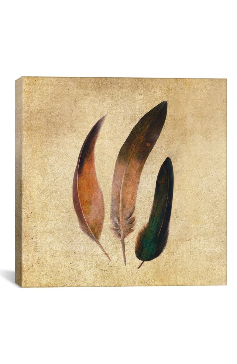 iCanvas 'Three Feathers Square - Terry Fan' Giclée Print Canvas Art, Main, color,