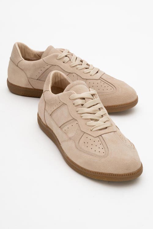 Forever & Always Shoes Aurel Suede Leather Sneakers