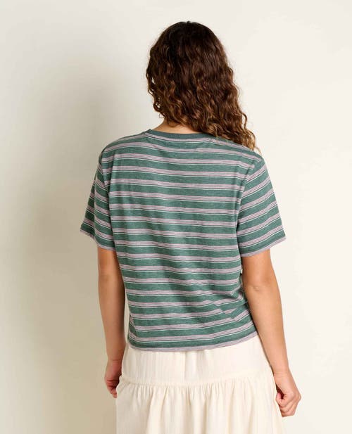 Toad And Co Boundless Jersey Short Sleeve Crew